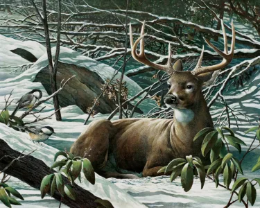 Outdoors artist’s work coming to SAMA